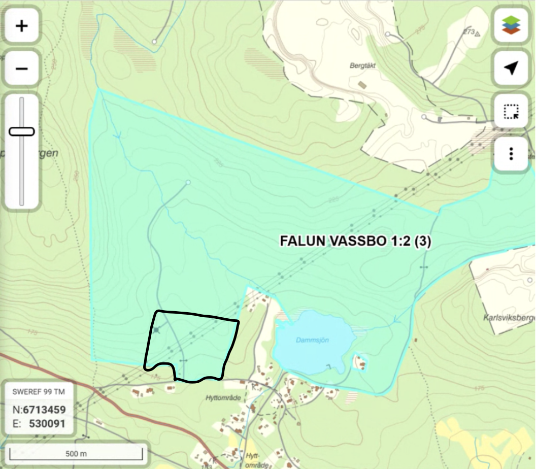 Karta över Dammsjön / Falun Vassbo 1:2