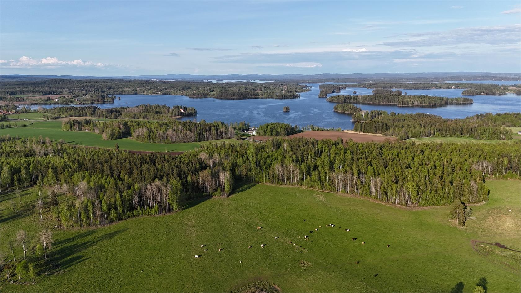 Solbacka — sjö och betesmark vid Lilla Ornäs, Dalsjö